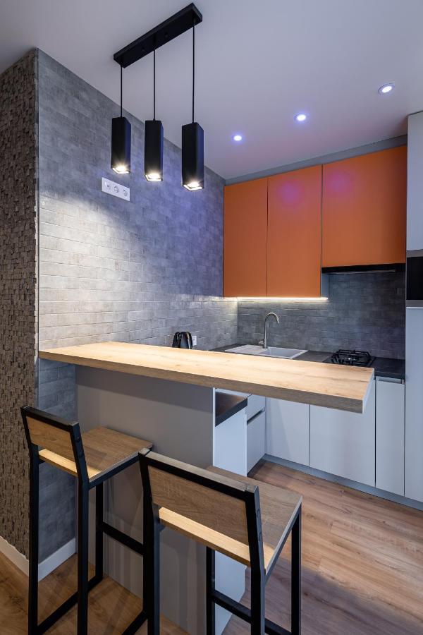 Stylisch New With One Bedroom Apartment Lviv